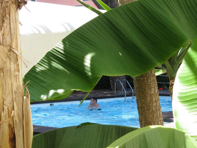 Hotel Marina Garden